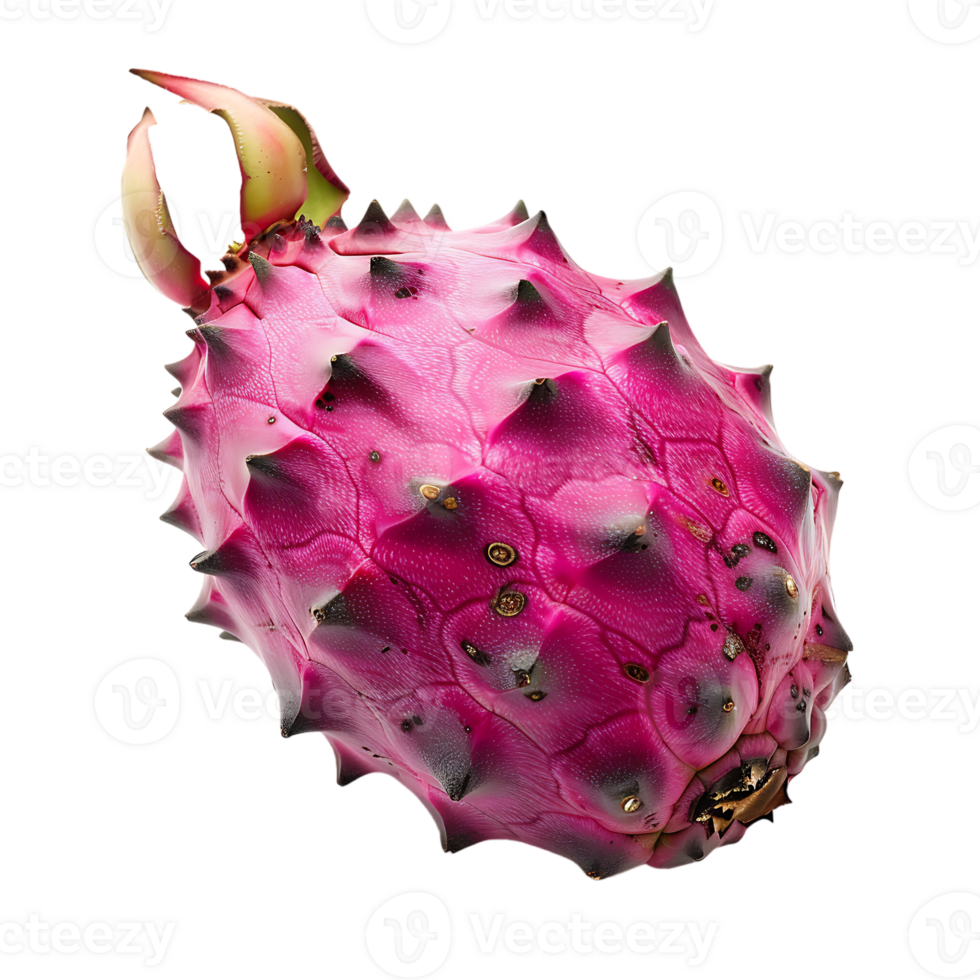 Ripe pitahaya fruit isolated on a transparent background png