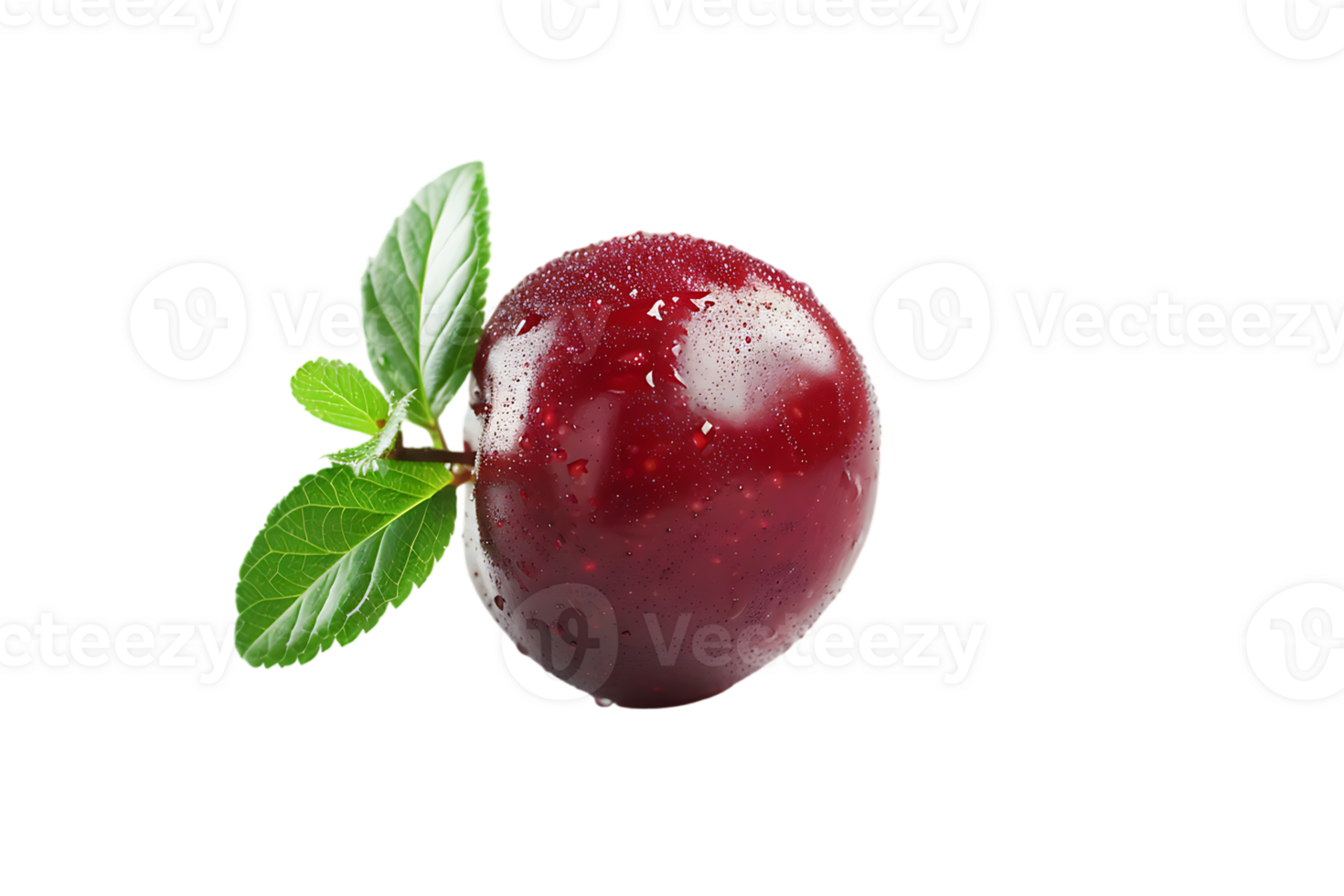 The solitary cranberry sits poised its vibrant hue accentuated in high definition png