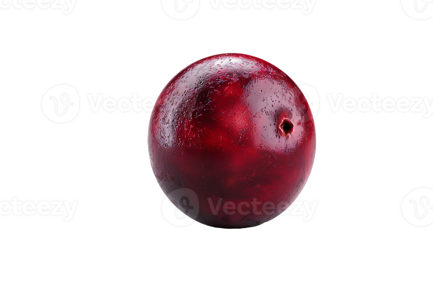 The solitary cranberry sits poised its vibrant hue accentuated in high definition png