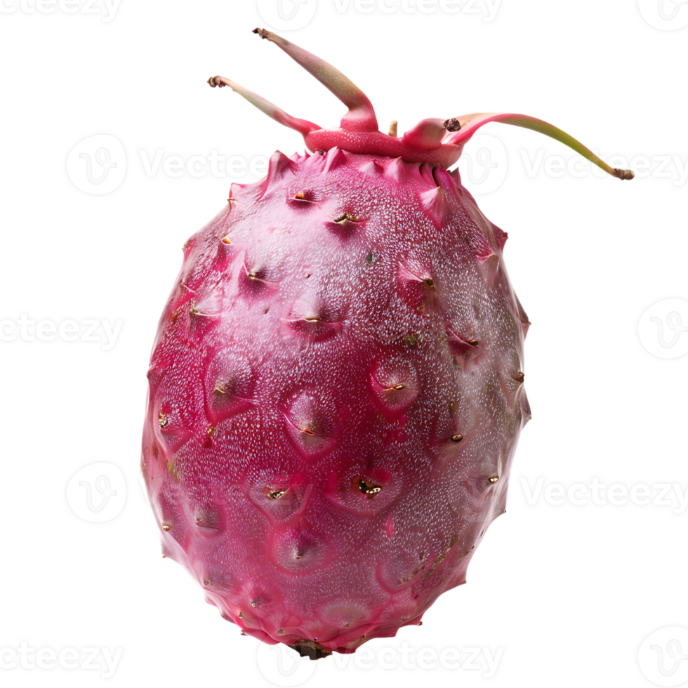 Ripe pitahaya fruit isolated on a transparent background png