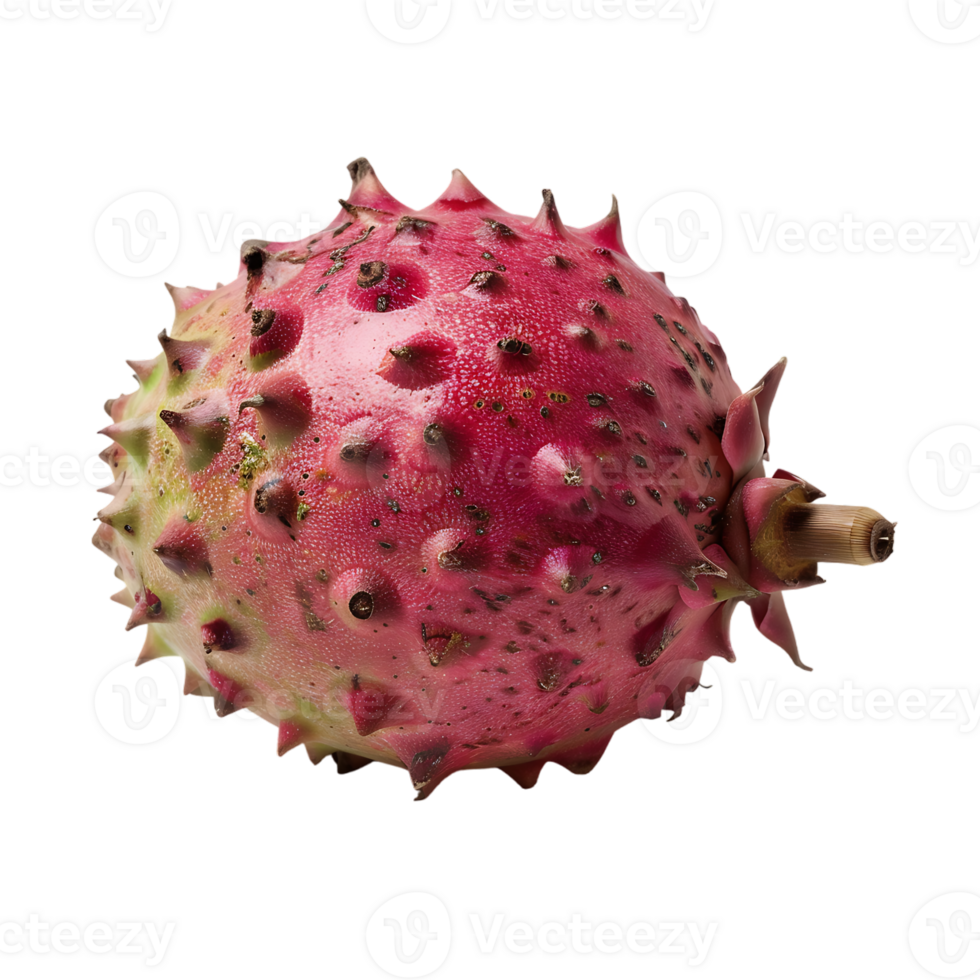 Ripe pitahaya fruit isolated on a transparent background png