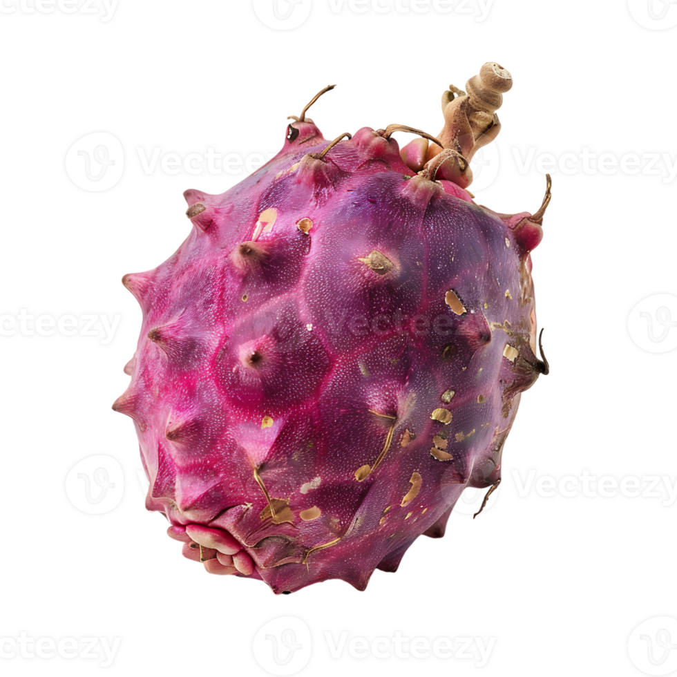 Ripe pitahaya fruit isolated on a transparent background png