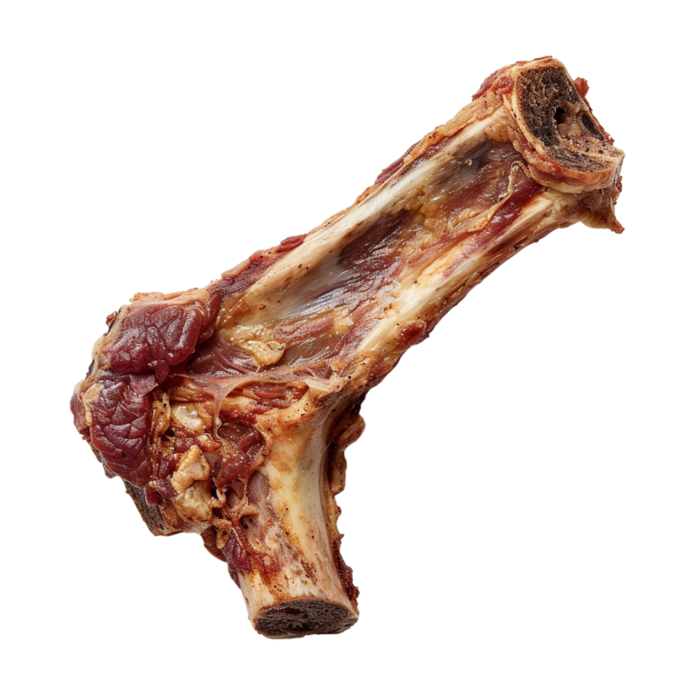 Bone with Meat on Transparent Background png