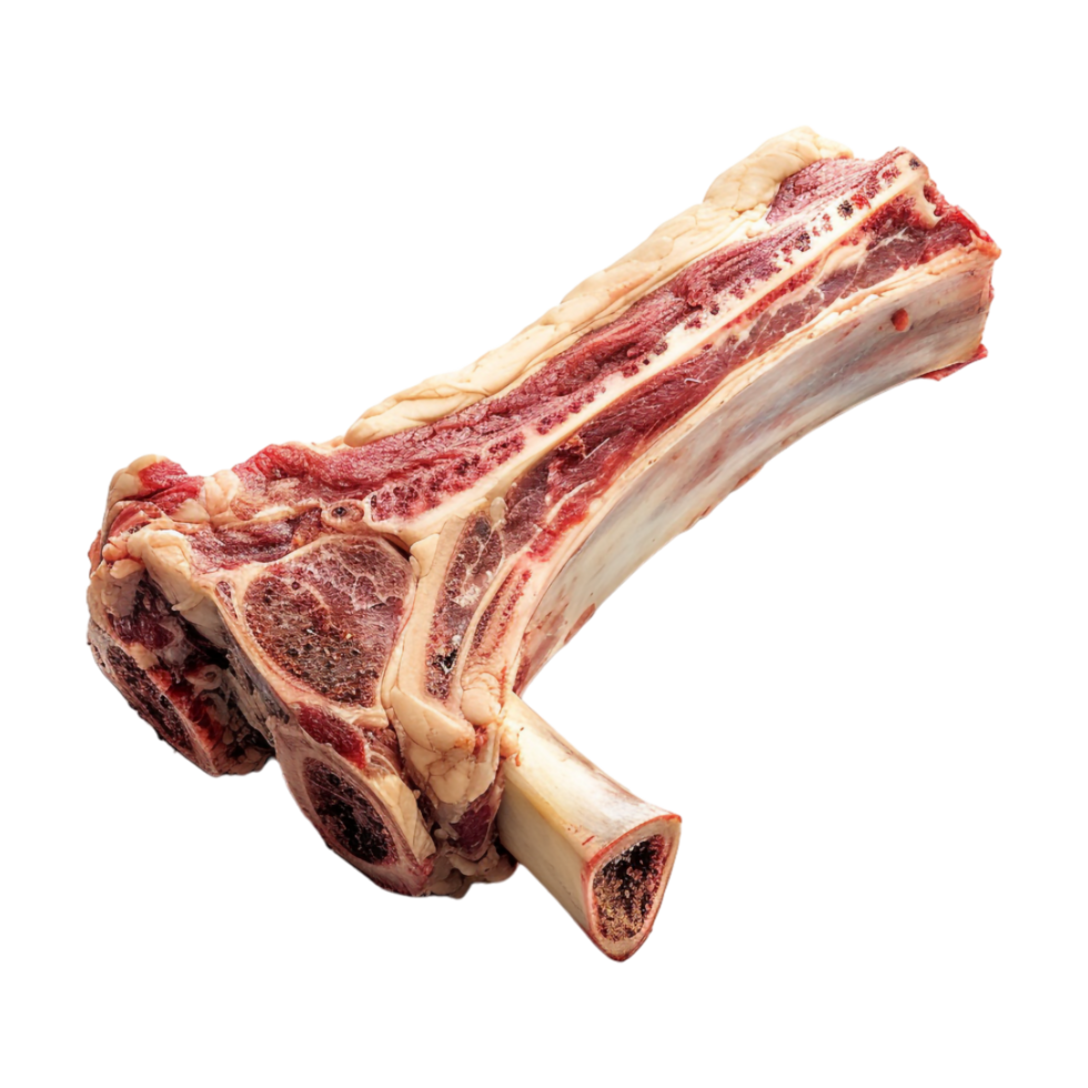 Bone with Meat on Transparent Background png