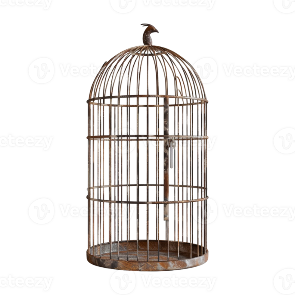 Bird Cage on Transparent Background png
