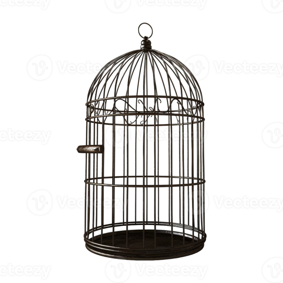 Bird Cage on Transparent Background png