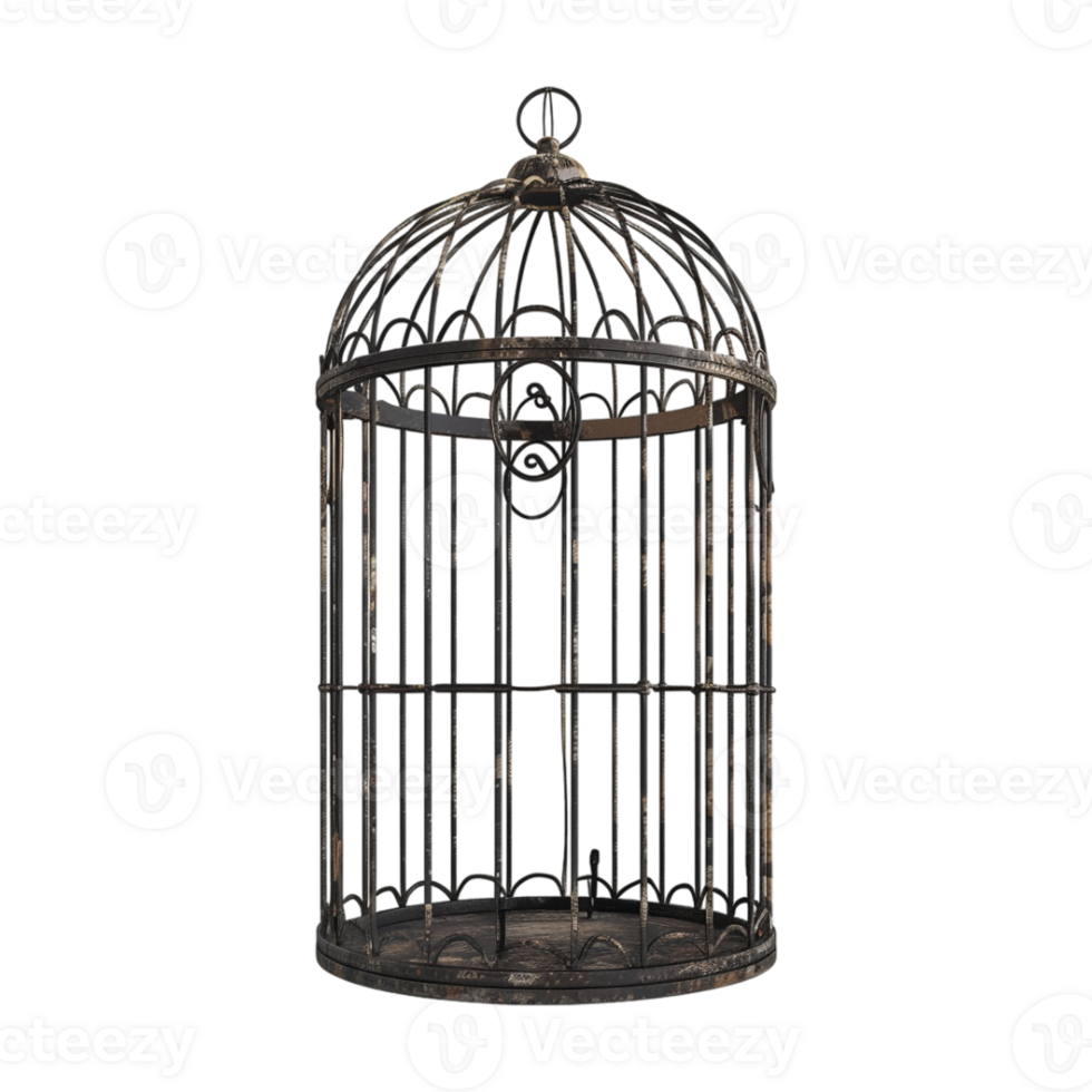 Bird Cage on Transparent Background png