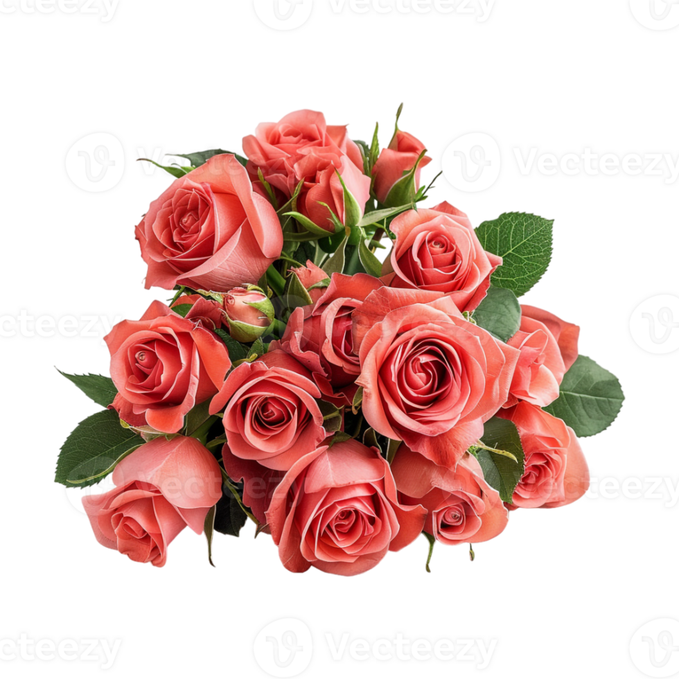 Rose Bokeh on Transparent Background png