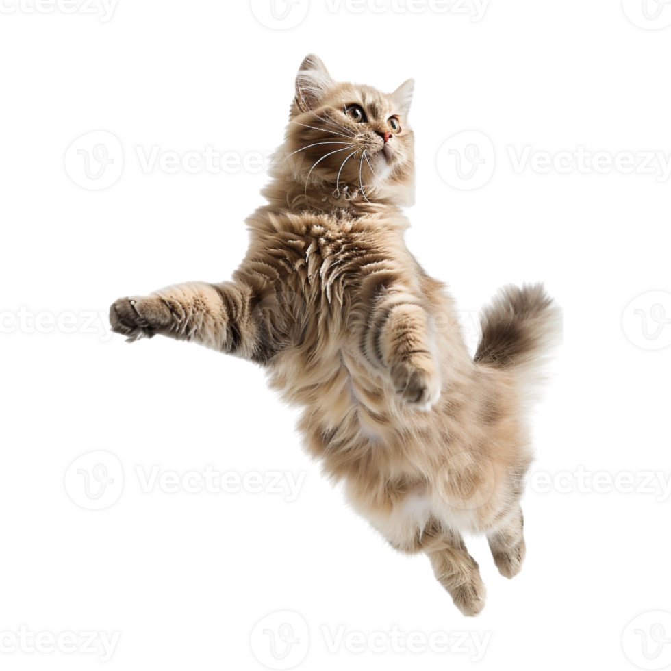 Cat in Air on Transparent Background png