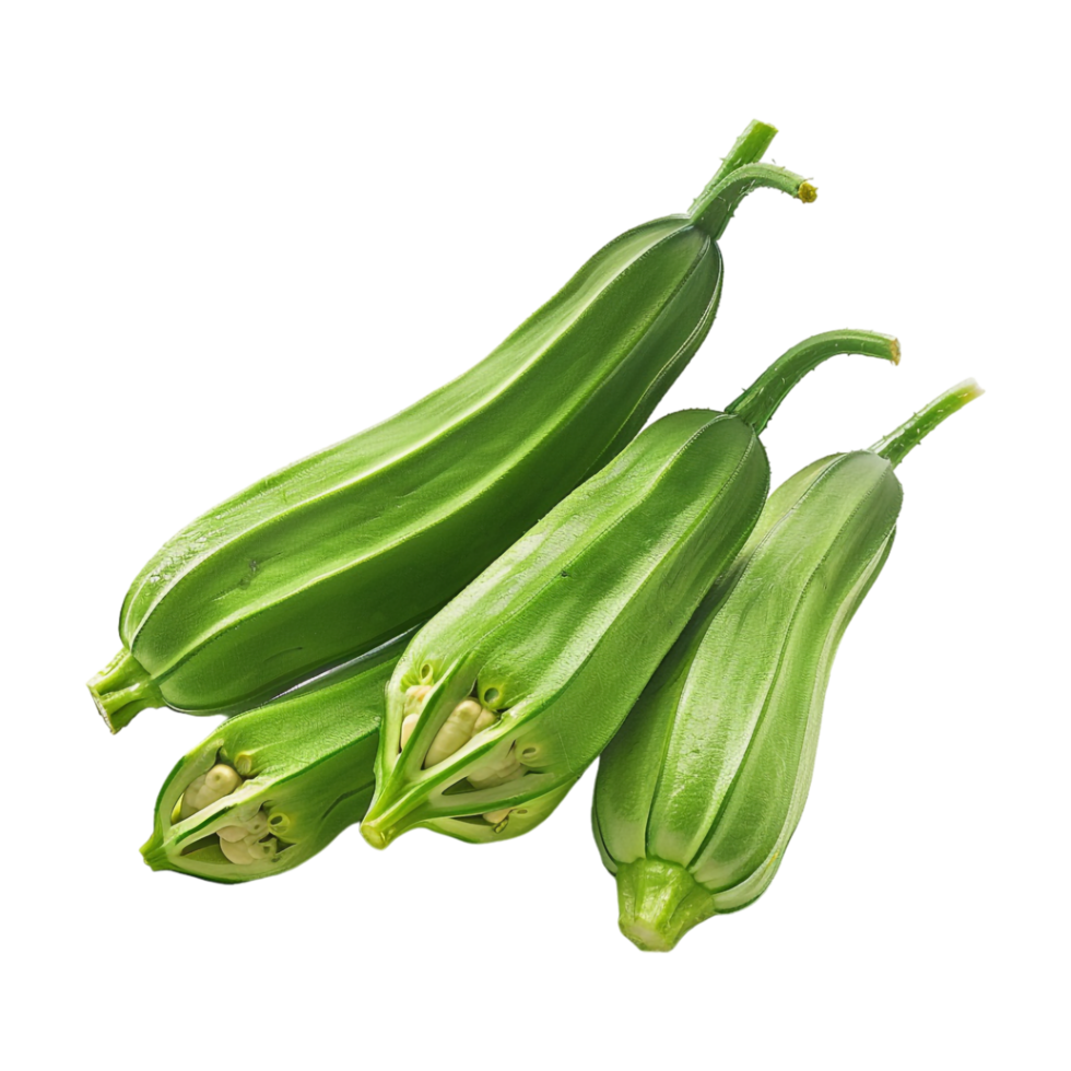 Zucchini Summer squash on Transparent Background png