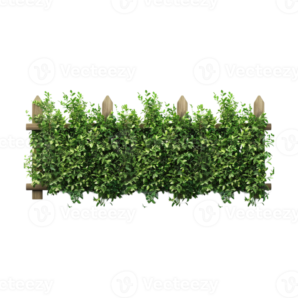 Wooden Fence with Grass on Transparent Background png