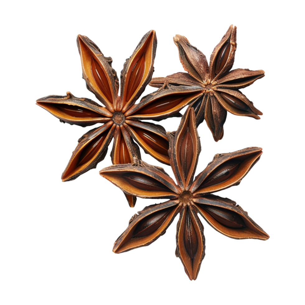 Star Anise on Transparent Background png