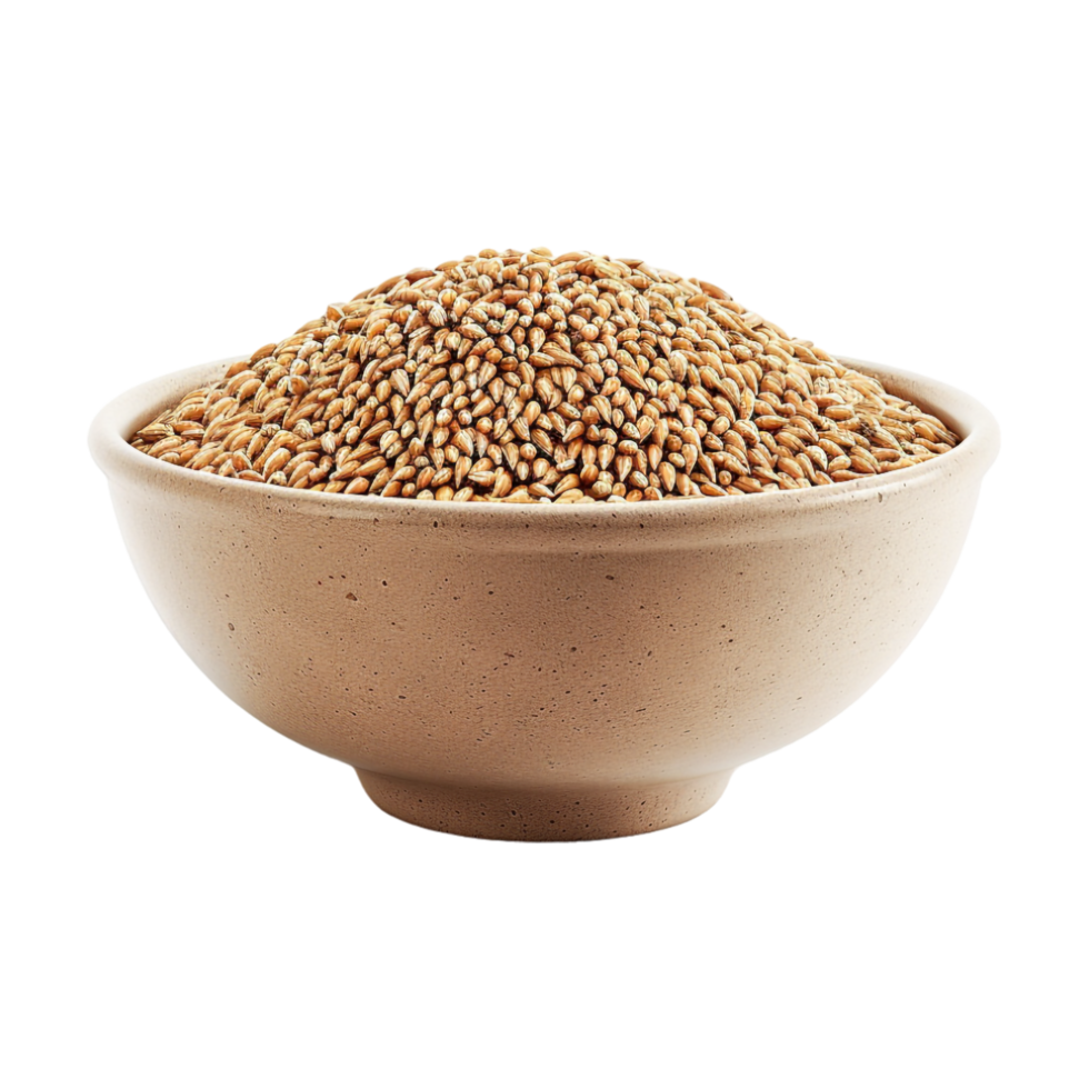 Wheat Grains in a Bowl on Transparent Background png