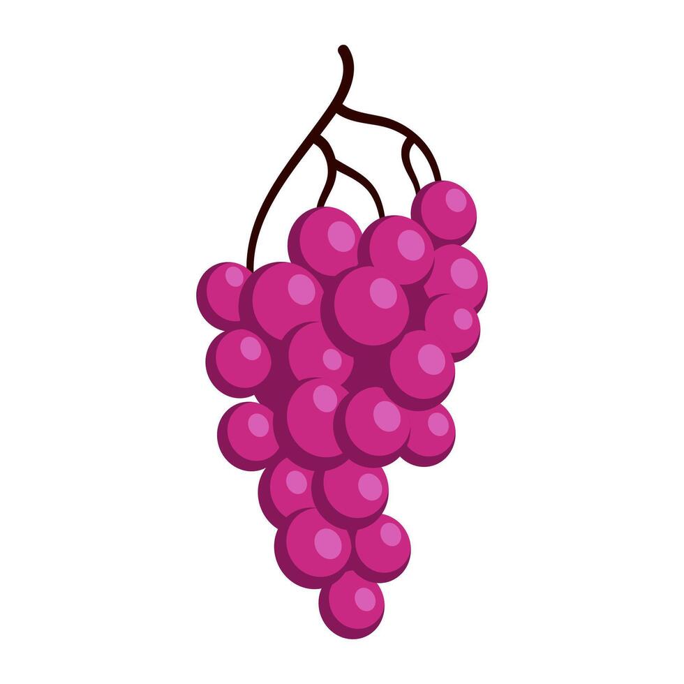 Bunch of juicy grapes. Cartoon flat illustration of ripe berries vector