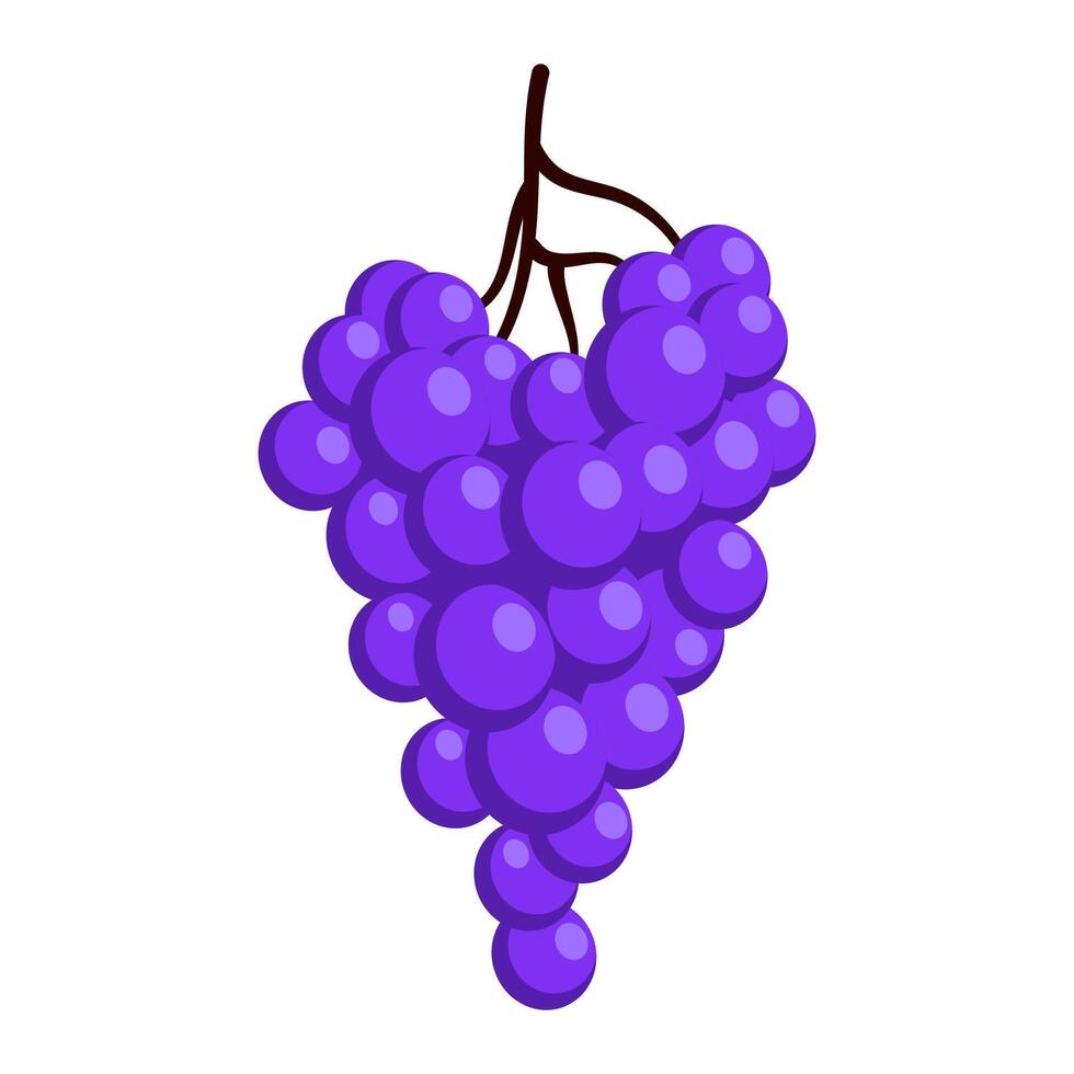 Bunch of juicy grapes. Cartoon flat illustration of ripe berries vector
