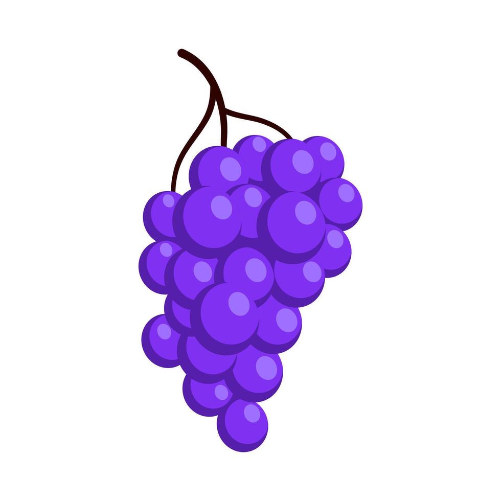 Bunch of juicy grapes. Cartoon flat illustration of ripe berries vector