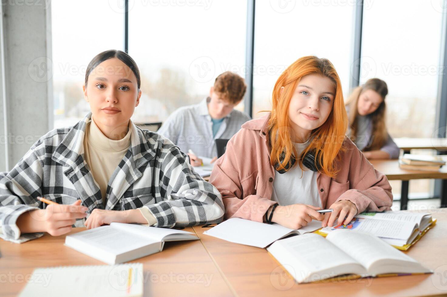group of young college students in classroom photo