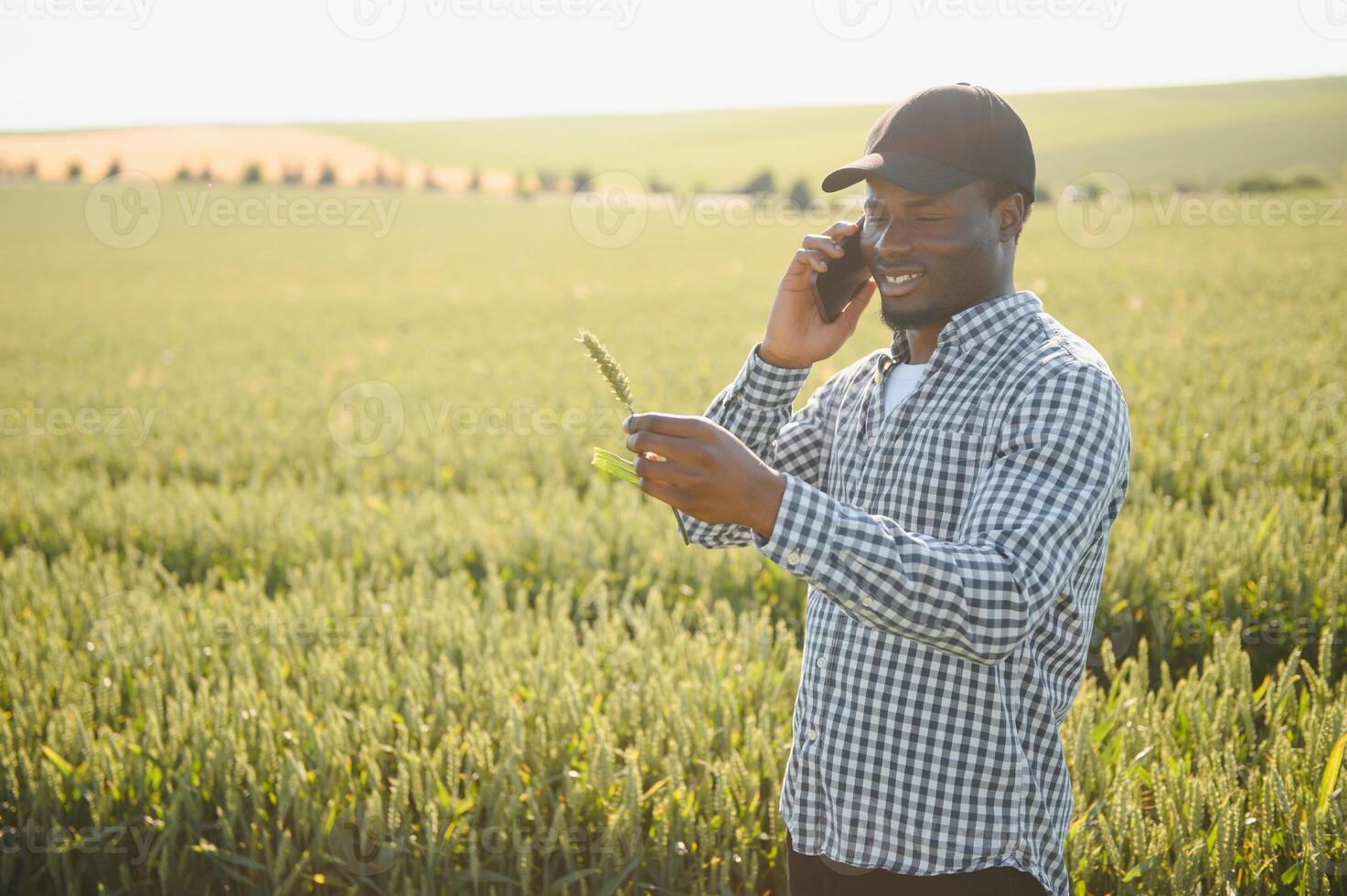 An African farmer is talking on the phone while standing in a wheat field. The concept of agrarian business photo