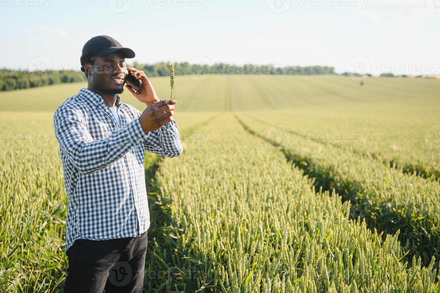 Farmer is standing in his growing wheat field. He is satisfied after successful sowing photo