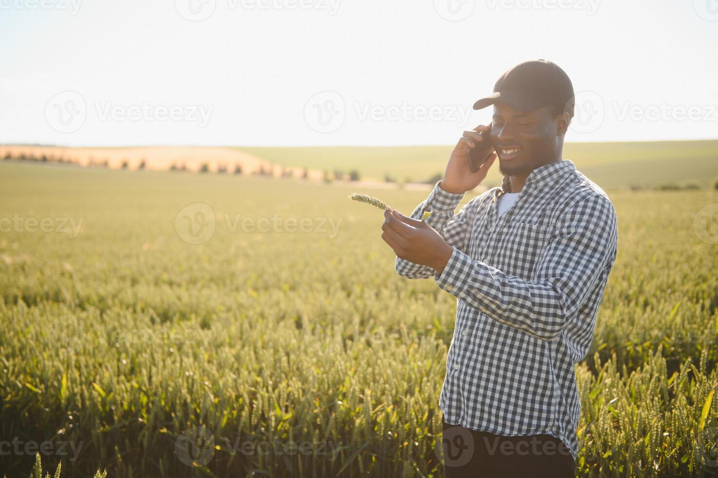 An African farmer is talking on the phone while standing in a wheat field. The concept of agrarian business photo