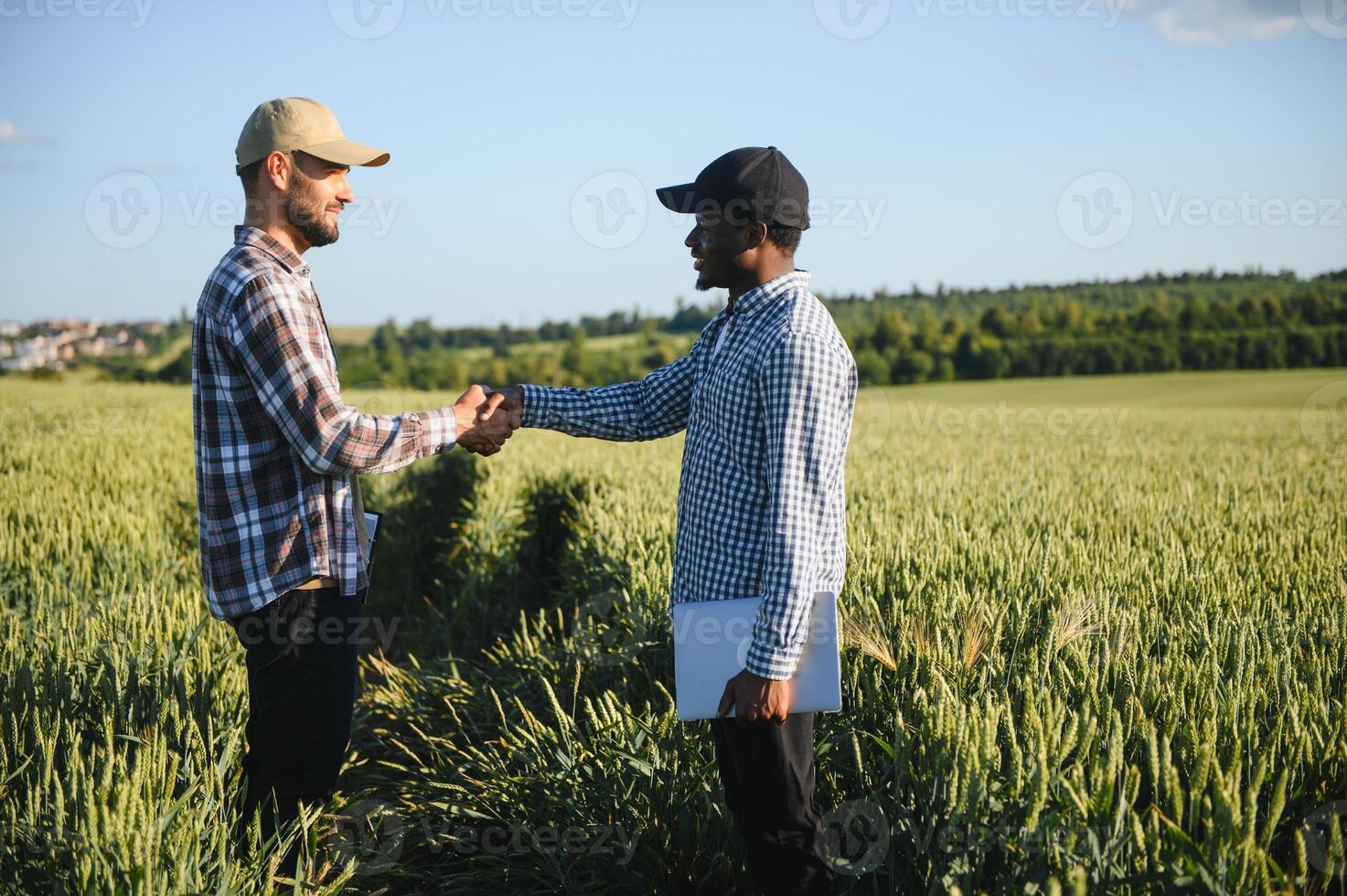 handshake farmer wheat. business partnership agriculture concept. two multiracial farmers shaking hands photo