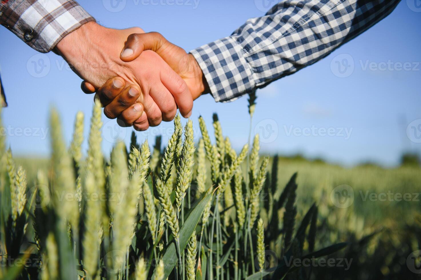 Handshake two farmer on the background of a wheat field at sunset. The concept of the agricultural business photo