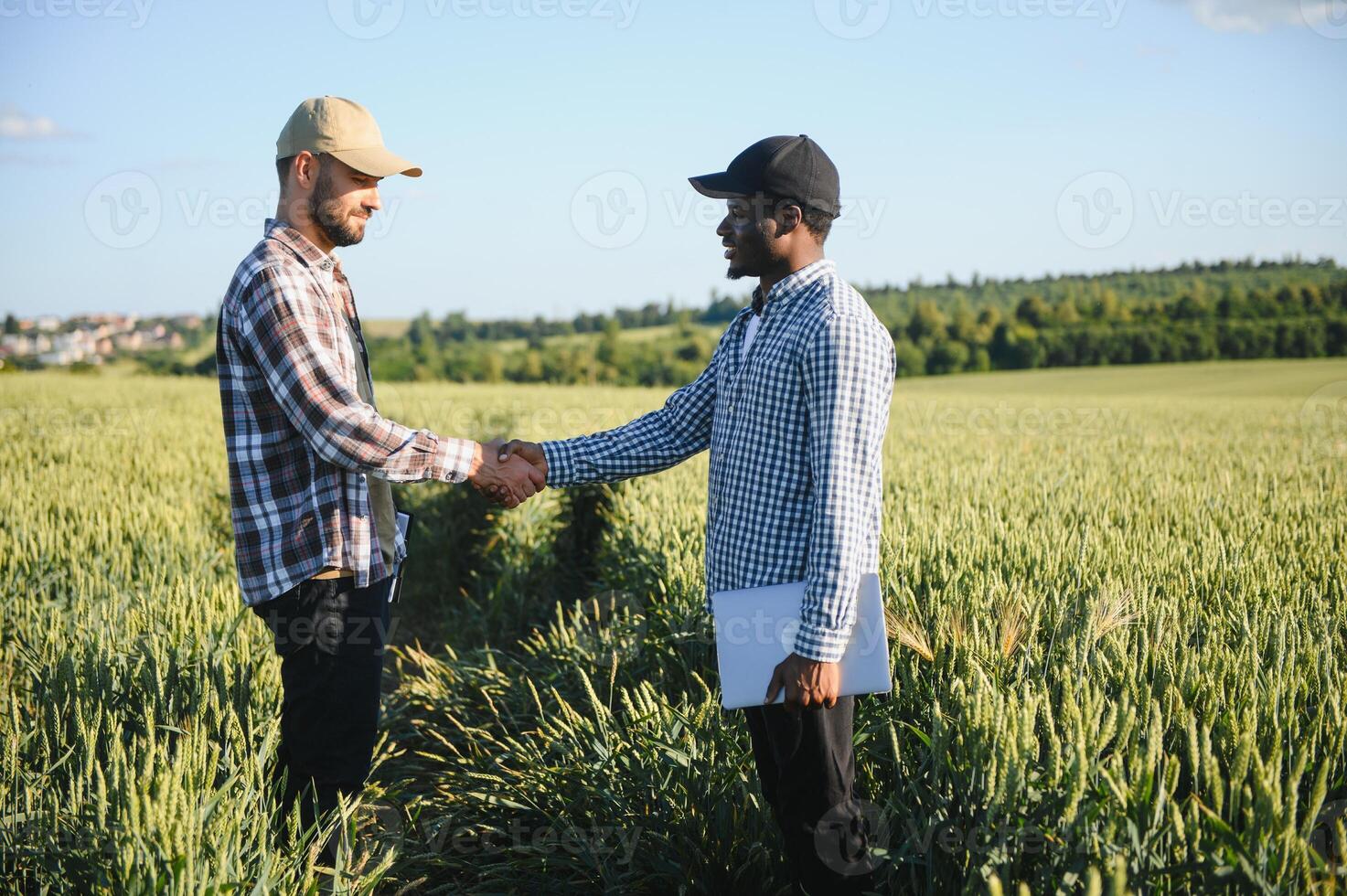 handshake farmer wheat. business partnership agriculture concept. two multiracial farmers shaking hands photo