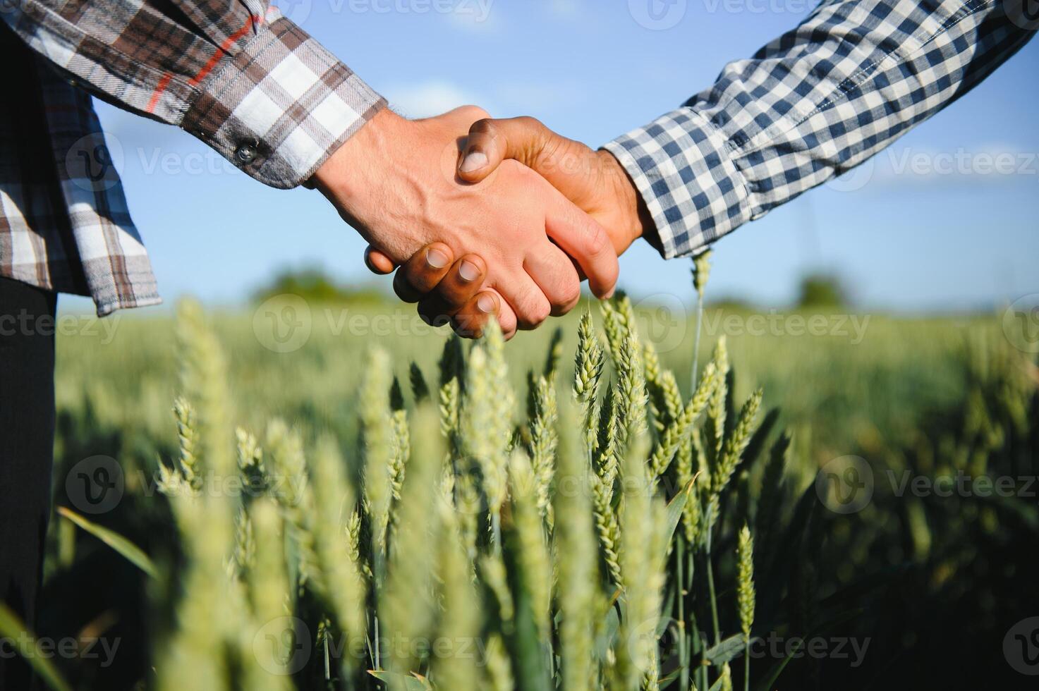 Handshake two farmer on the background of a wheat field at sunset. The concept of the agricultural business photo