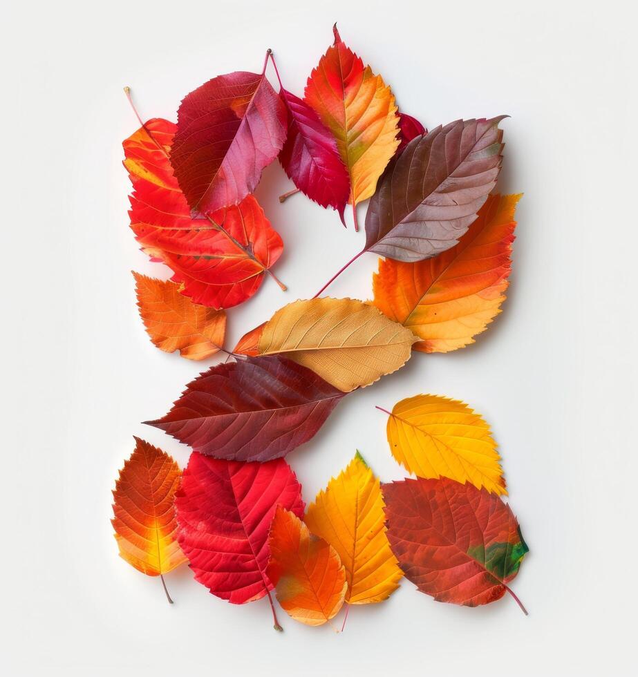 Colorful Autumn Leaves Forming The Number Two On A White Background photo