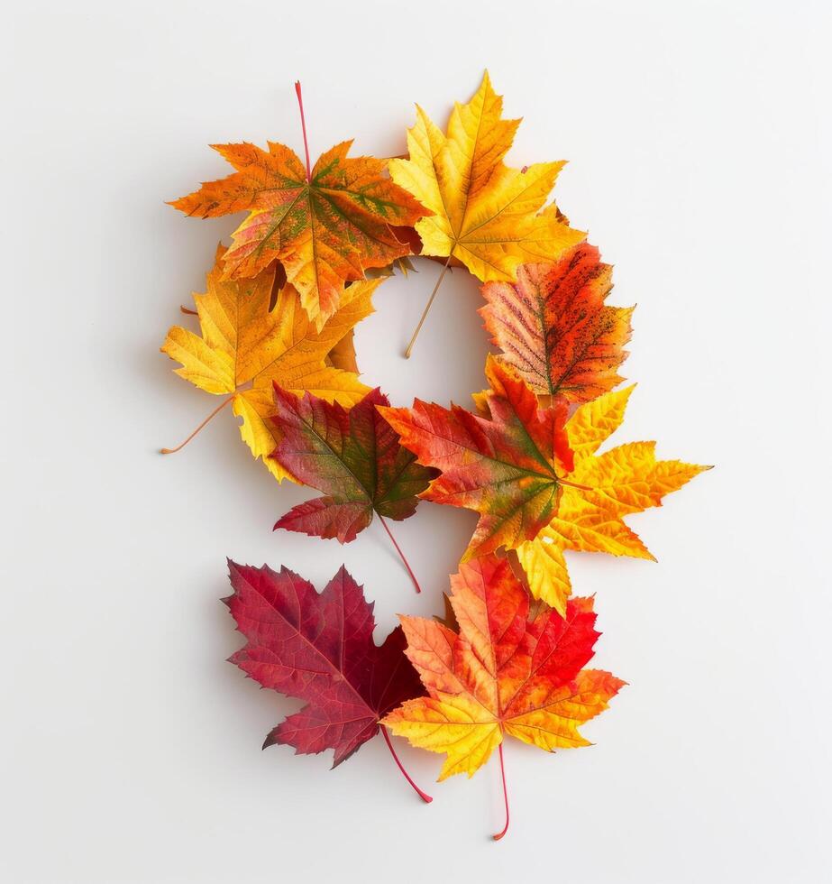 Autumn Leaves Arranged in a Number Nine on White Background photo