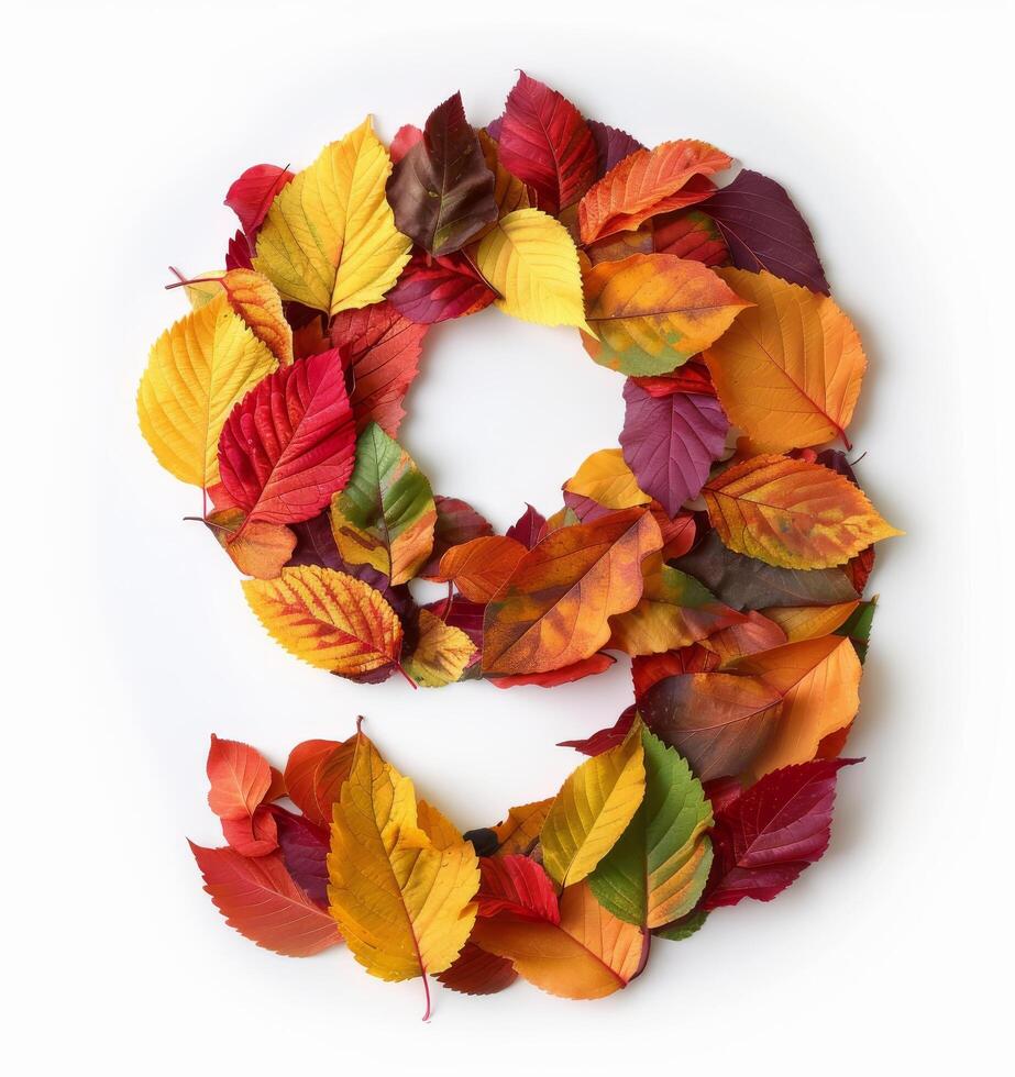 Autumn Leaves Arranged in a Number Nine on White Background photo