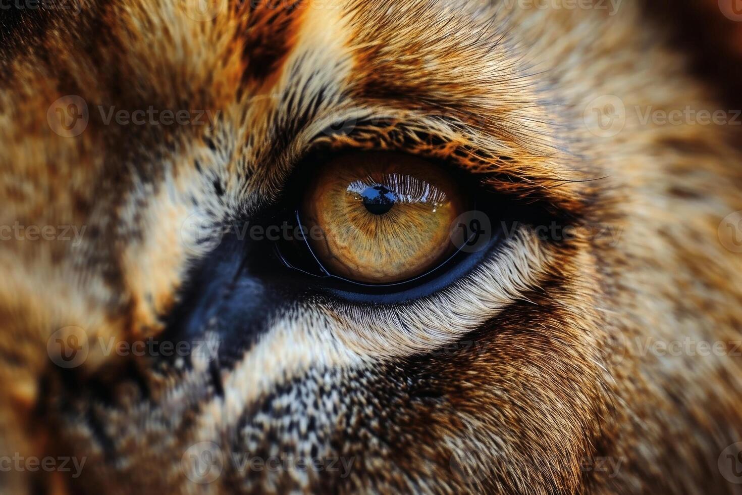 Close up of the eye of a male Lion. AI generate photo