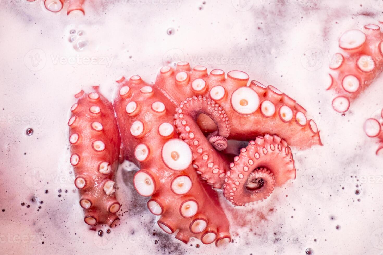 close up of tentacles of a raw octopus boiling in the water with salt in a big pot, traditional recipe from Galicia. Pulpo a feira photo