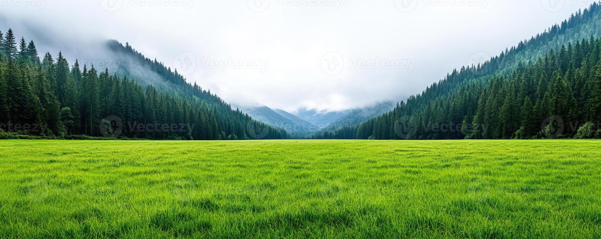 Dramatic landscape showing a meadow field with encroaching fog and changing light, symbolizing the uncertainty of natural environments photo