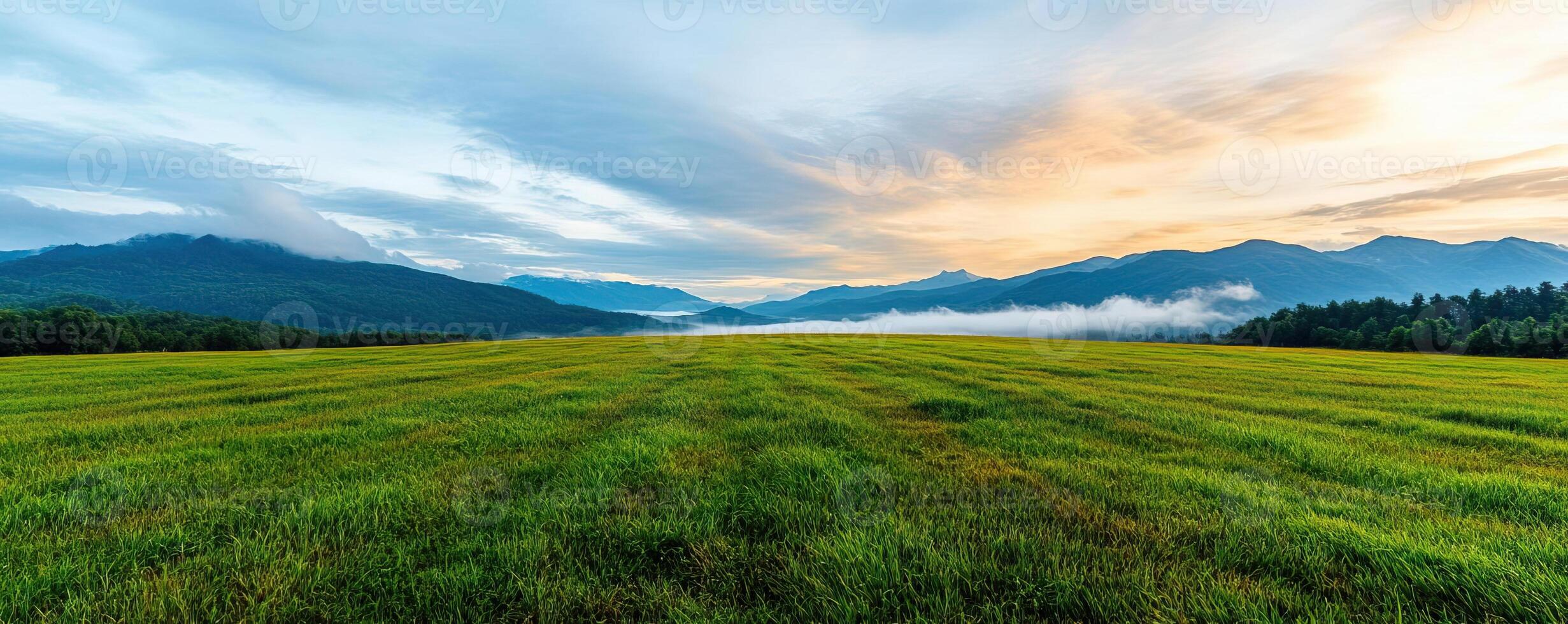 Dramatic landscape showing a meadow field with encroaching fog and changing light, symbolizing the uncertainty of natural environments photo