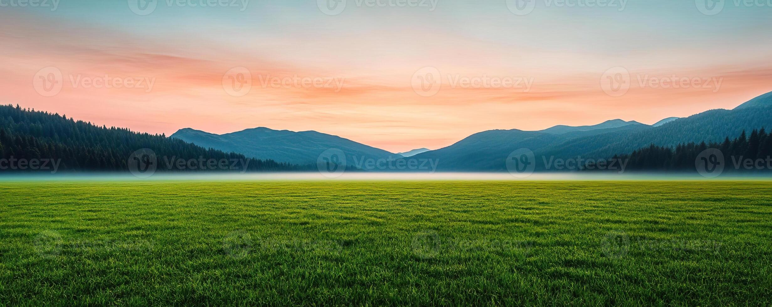 Dramatic landscape showing a meadow field with encroaching fog and changing light, symbolizing the uncertainty of natural environments photo