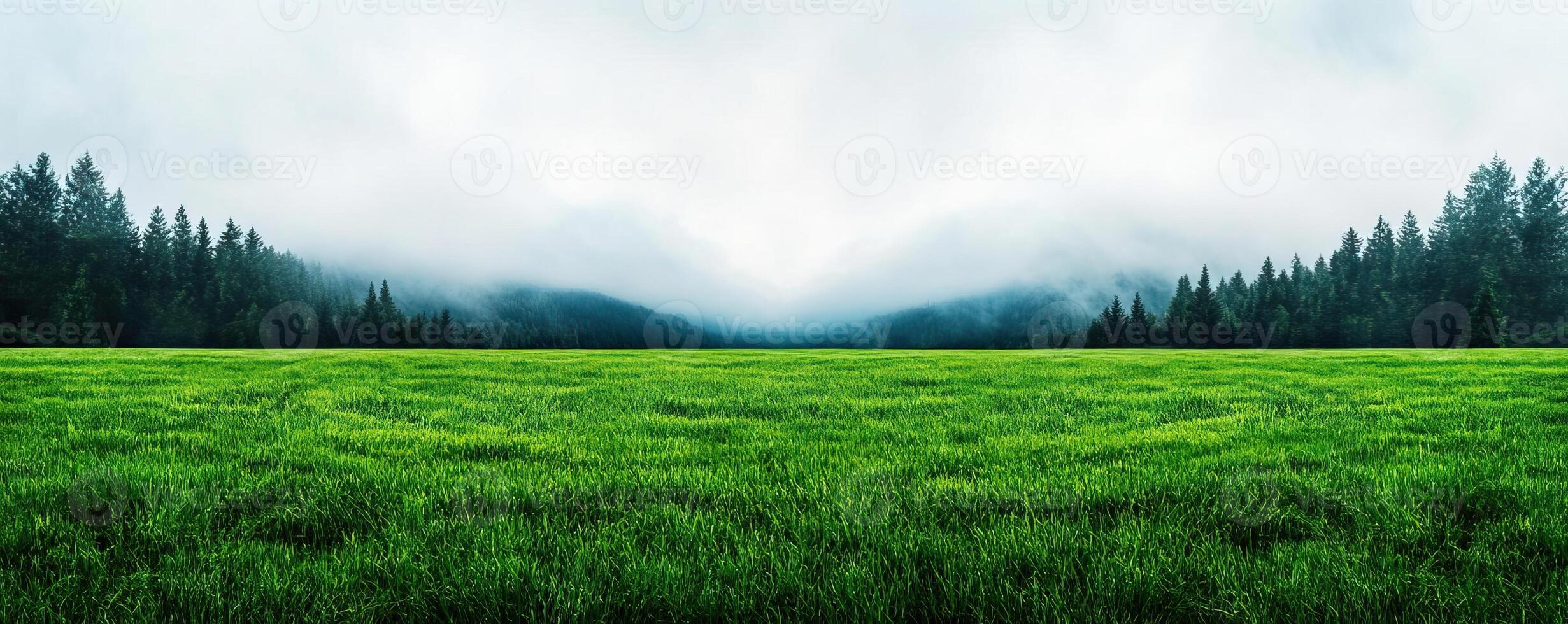 Dramatic landscape showing a meadow field with encroaching fog and changing light, symbolizing the uncertainty of natural environments photo