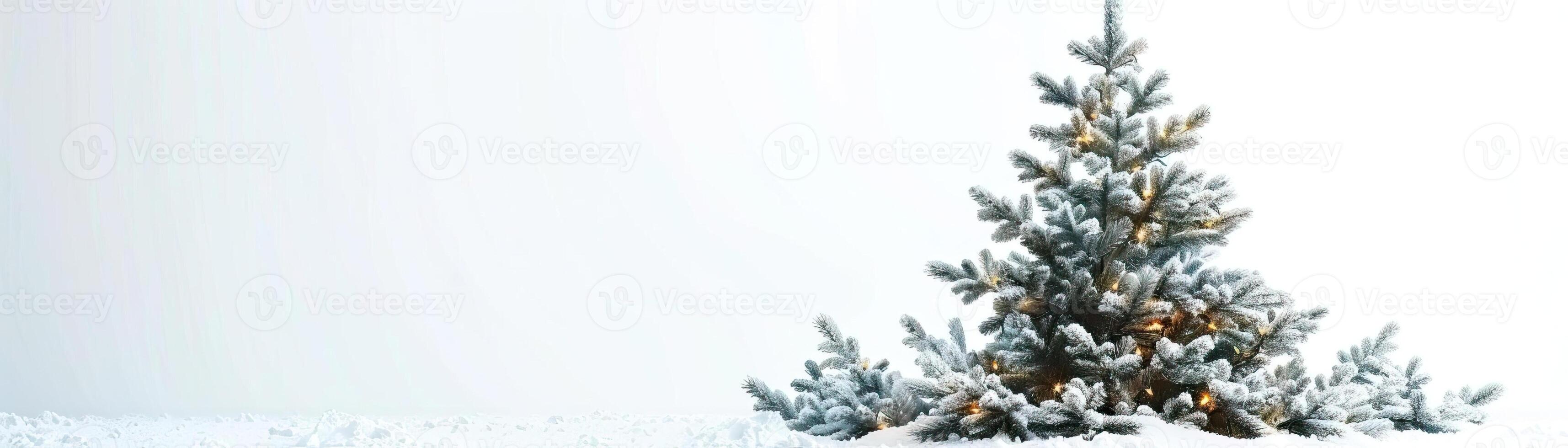 A high-key image of a tall Christmas tree, the garland lights intermingled with fine snow, set against a stark white background, broad space on the left for promotional text. photo