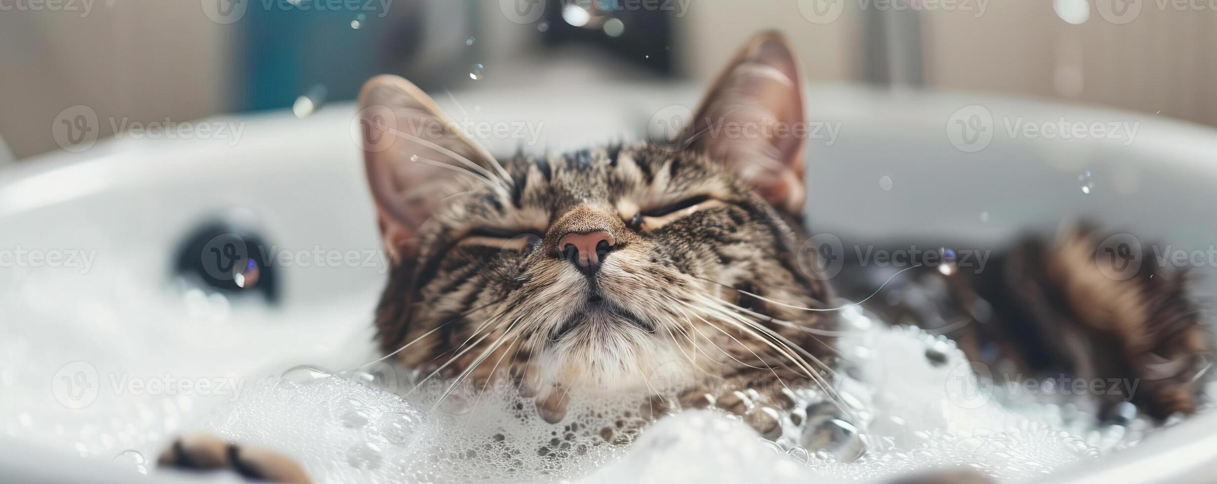 Cat enjoying a bubble bath, playful and relaxed, pet grooming, editorial photography, empty copy space for text photo