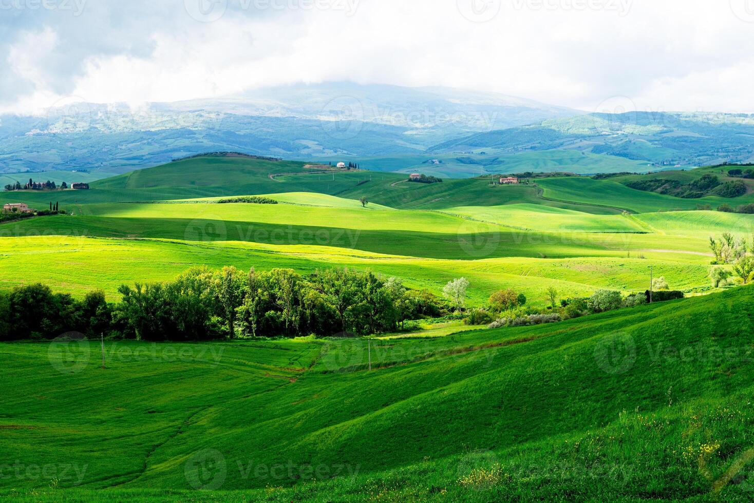 Tuscany, Italy-April 22, 2024 Lush Green Rolling Hills of Tuscany photo