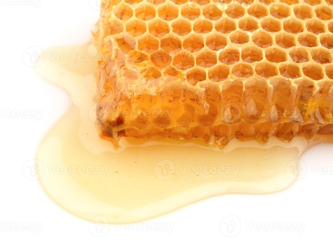 Honeycomb close up photo