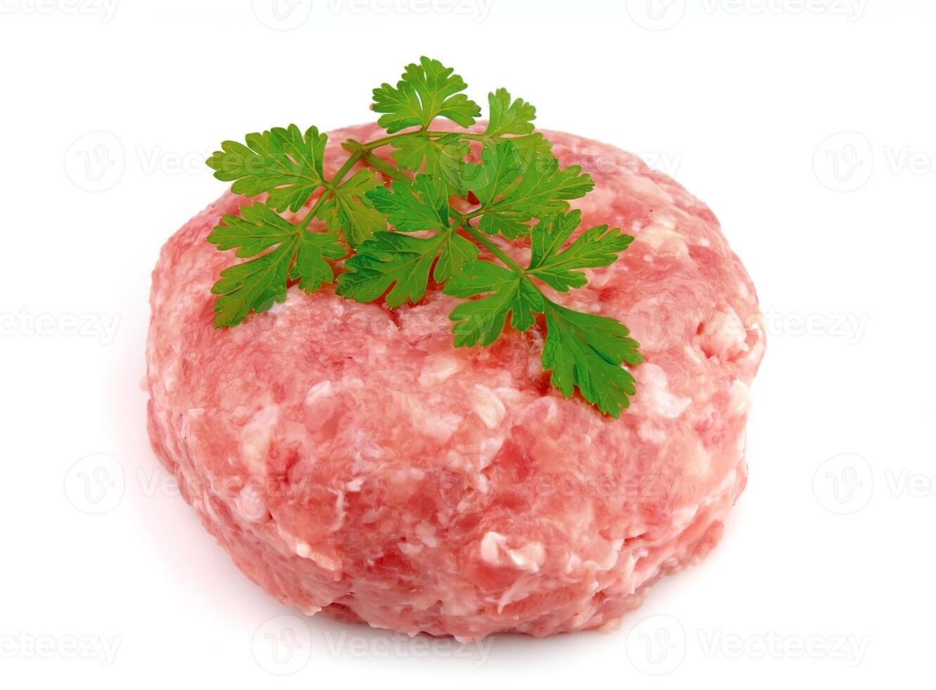 Fresh house forcemeat photo