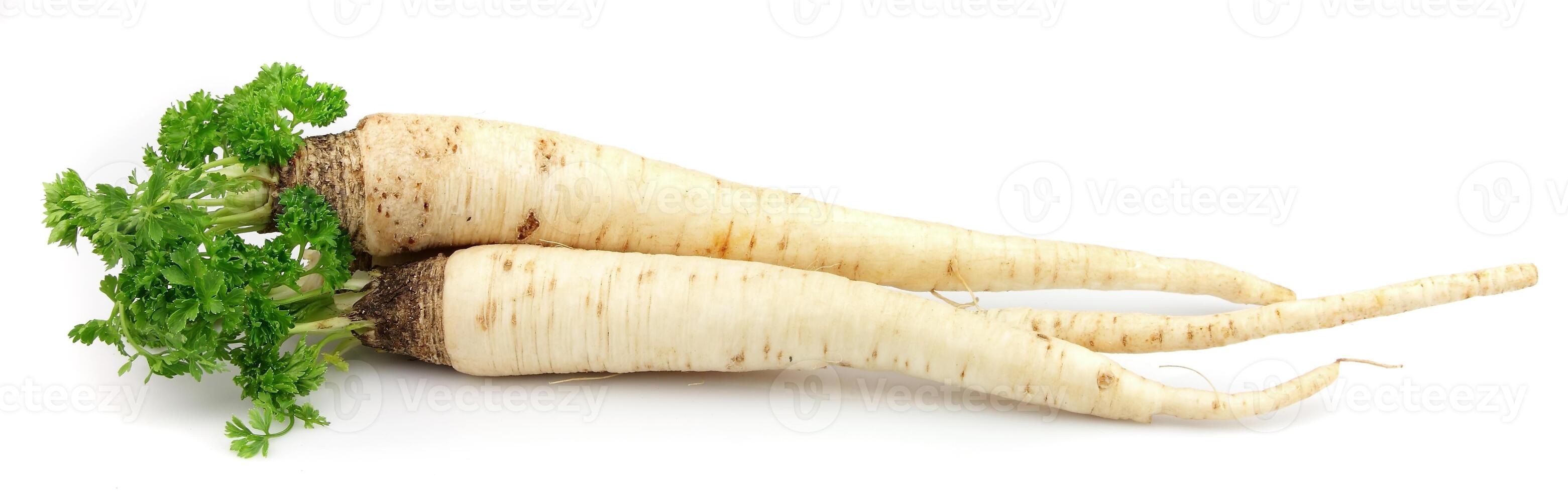 Parsley root on white photo