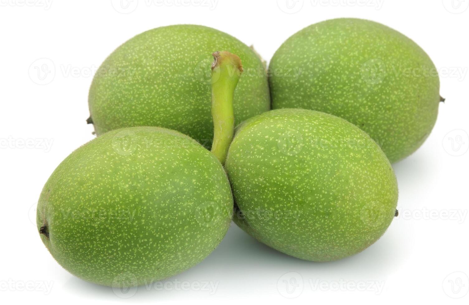 Young green walnut photo