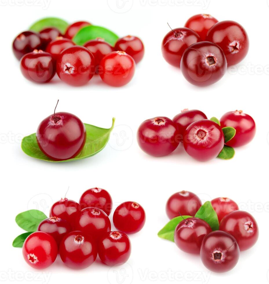 Collage from cranberry photo