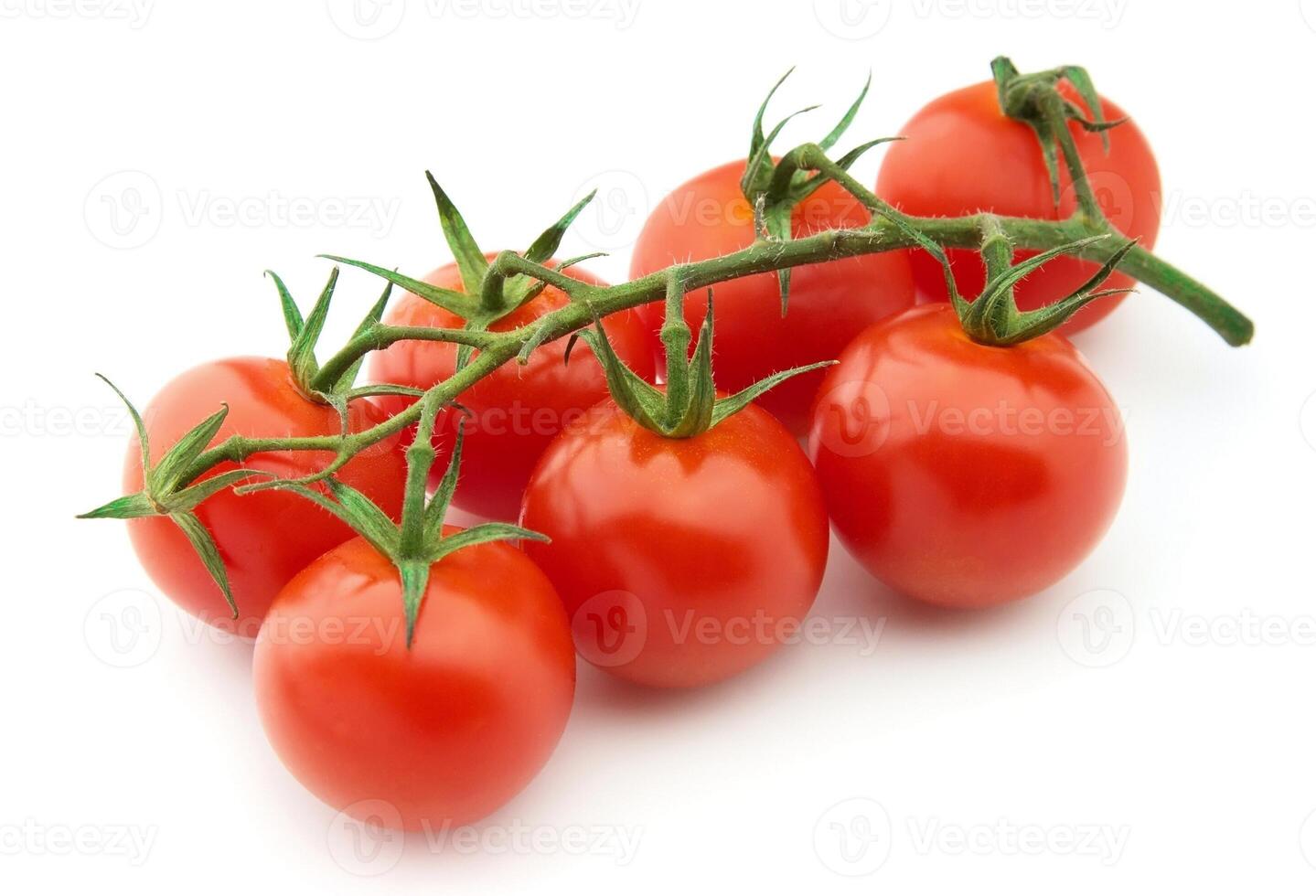 Branch tomatoes on white backgrounds photo