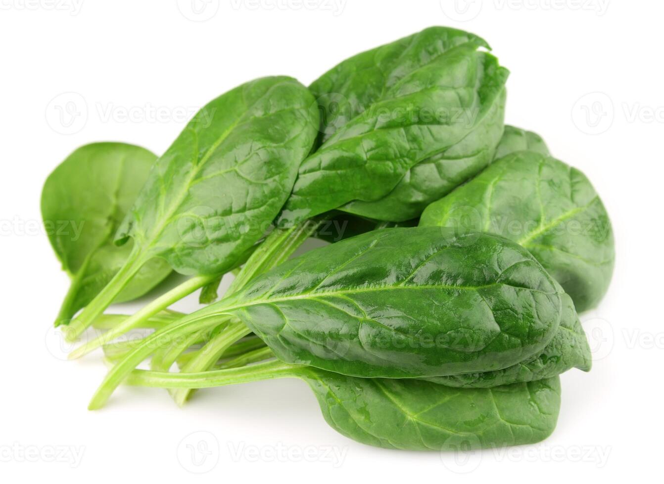 Spinach on white photo