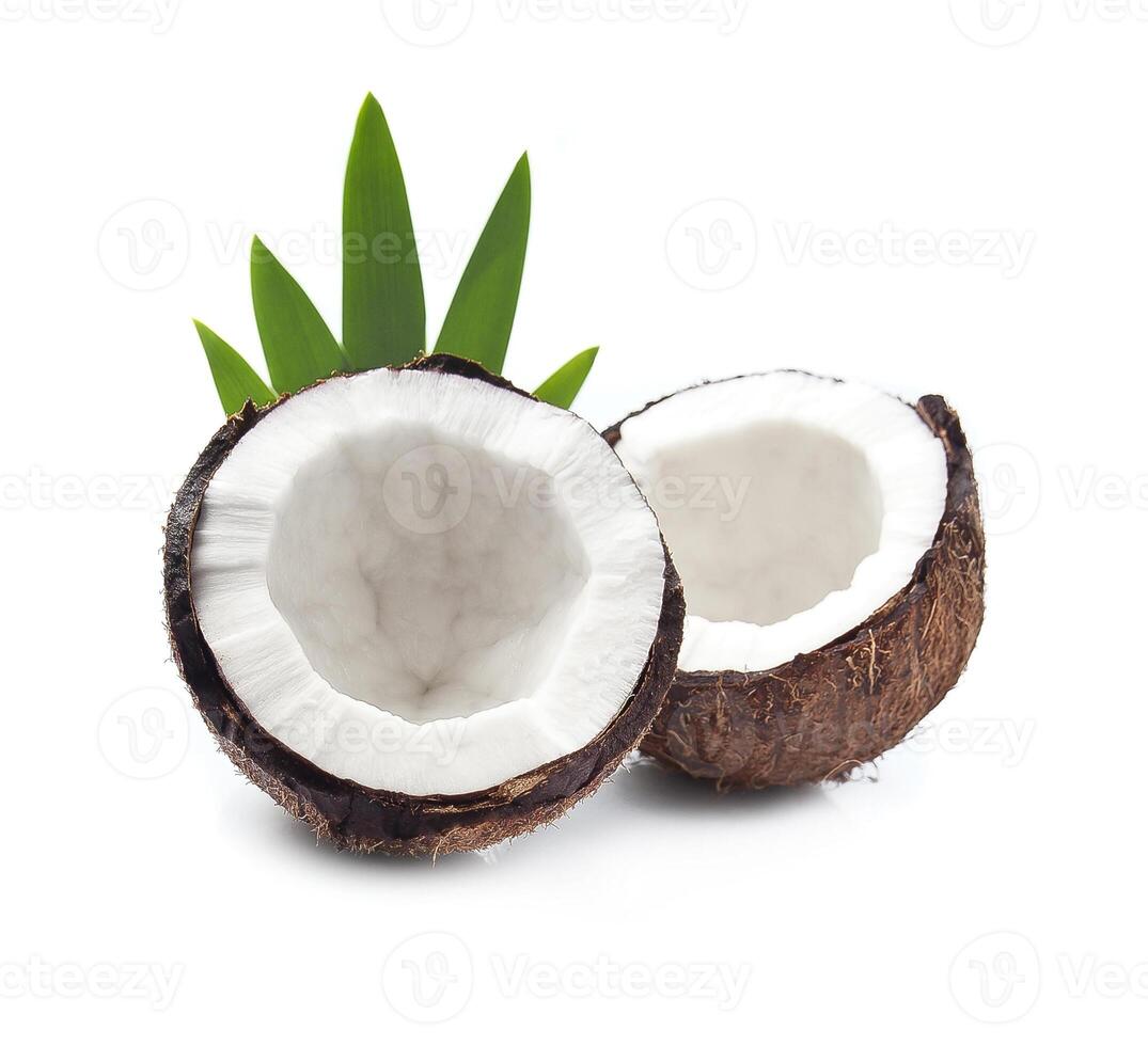 Coconut with leaves photo