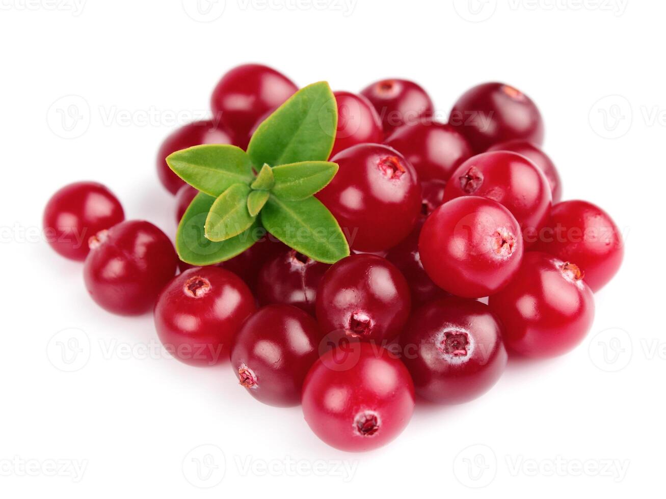 Sweet cranberries with leafs photo
