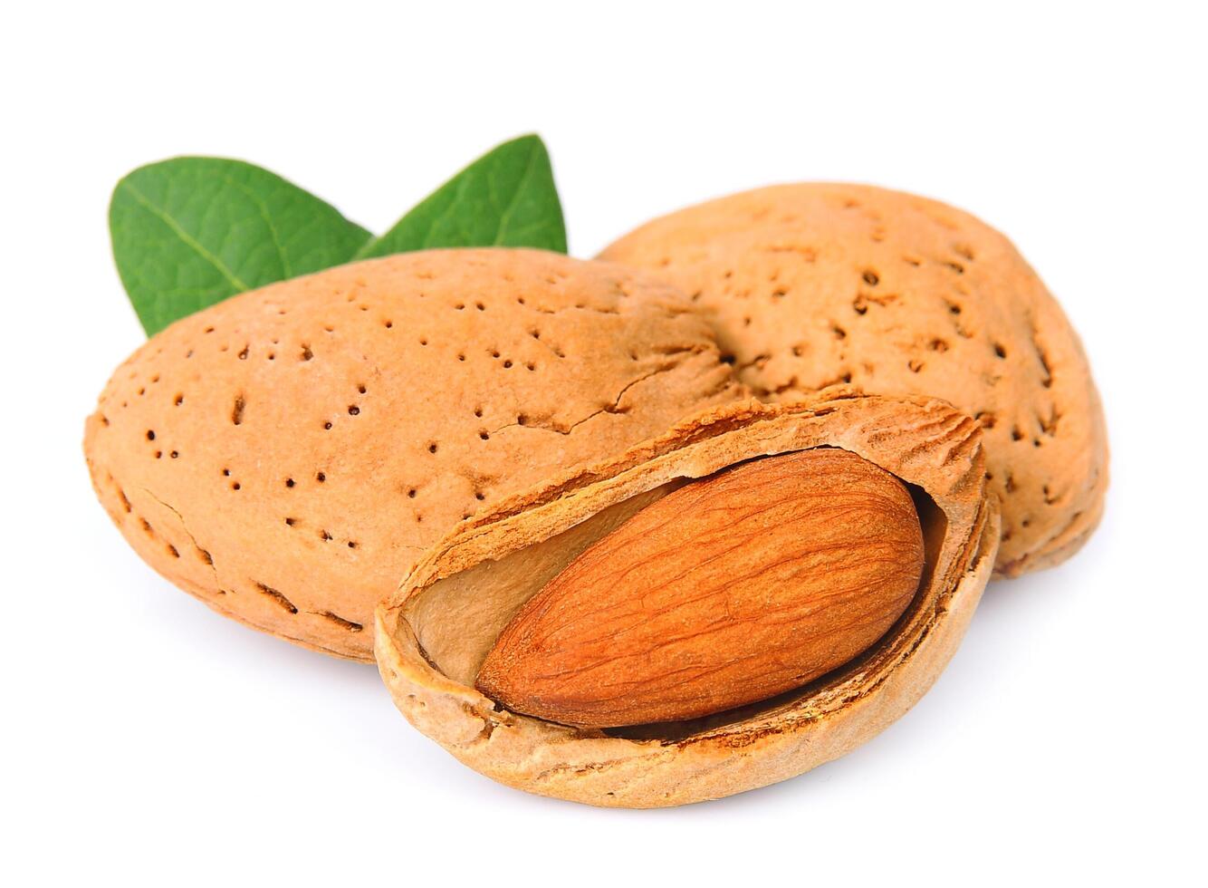 Almond close up photo